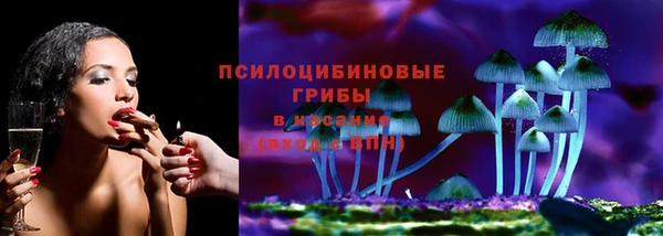 тгк Абаза