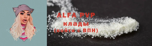 тгк Абаза
