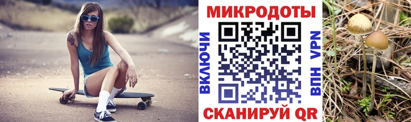 сколько стоит  Торопец  omg ТОР  Псилоцибиновые грибы Magic Shrooms 